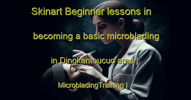 Skinart Beginner lessons in becoming a basic microblading in Dingkantoucuo area | MicrobladingTraining | MicrobladingClasses | SkinartTraining-Taiwan Province of China